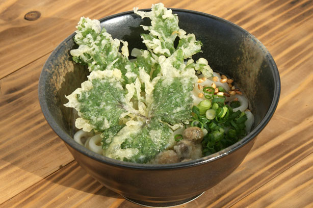 季節の実りうどん