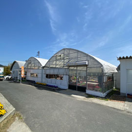 ファームランド