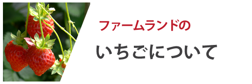 いちごについて