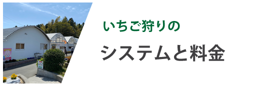 システムと料金