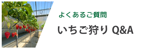 いちご狩りQ＆A