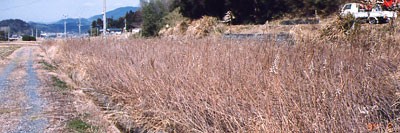 「田布施町近隣の休耕田・荒れ地の草刈りをお任せください。」関連画像