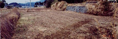 「田布施町近隣の休耕田・荒れ地の草刈りをお任せください。」関連画像